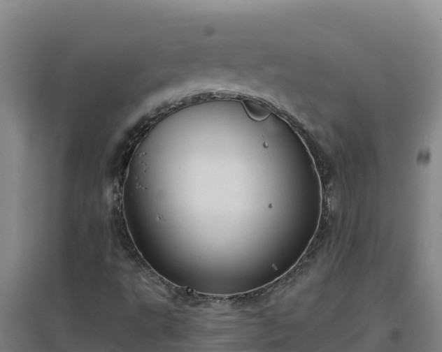 X0000096721495200802121236