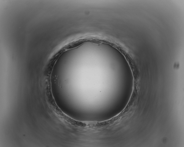 X0000096721496200802121236