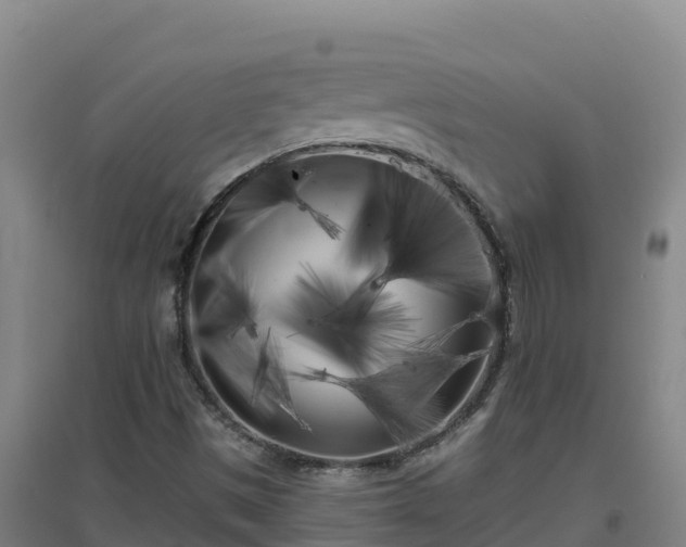 X0000096721497200802121236