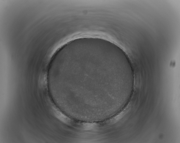 X0000096721498200802121236