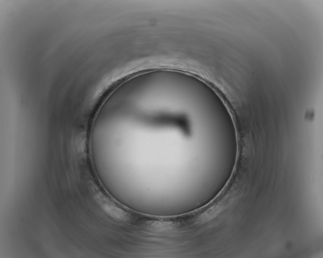 X0000096721499200802121236