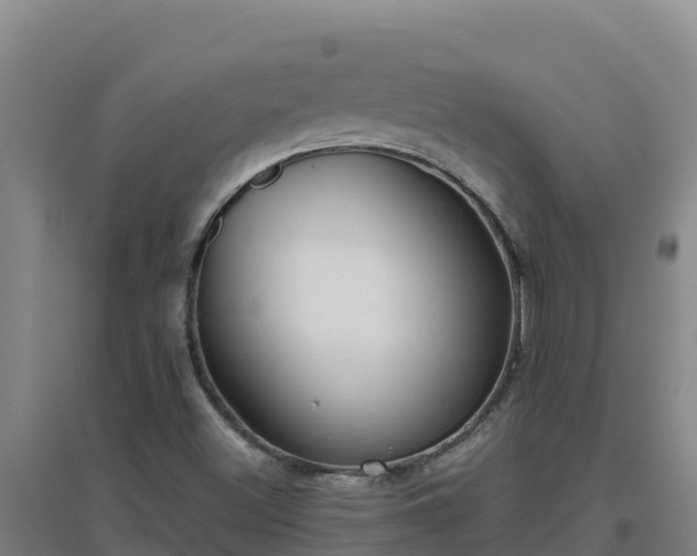 X0000096721500200802121236