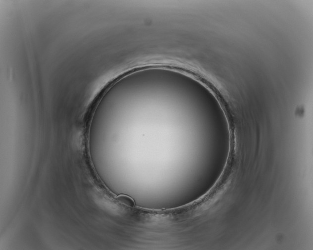 X0000096721501200802121236