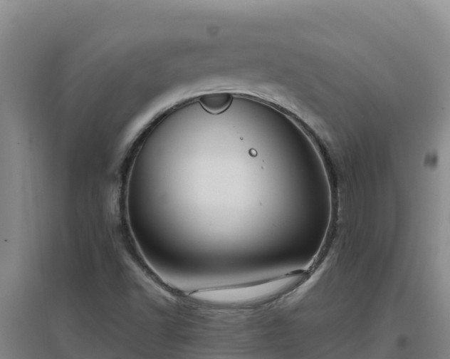 X0000096721502200802121236