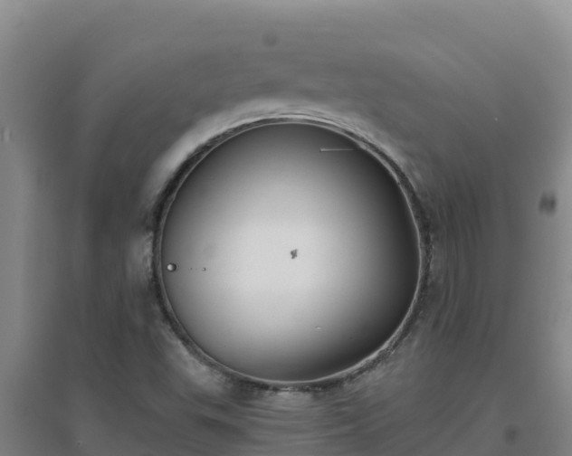 X0000096721503200802121236