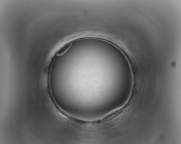 X0000096721504200802121236