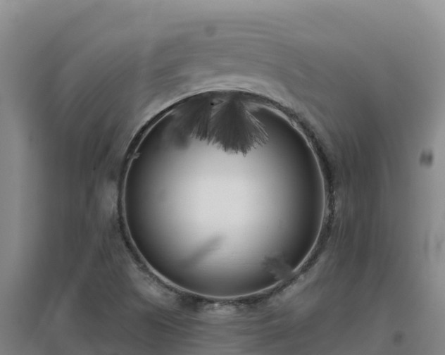 X0000096721505200802121236