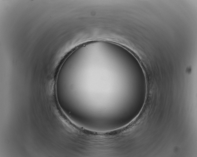 X0000096721507200802121236