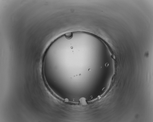 X0000096721508200802121236
