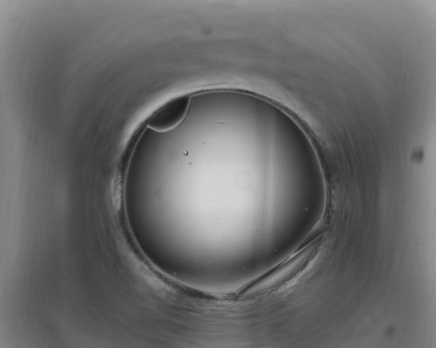X0000096721510200802121236