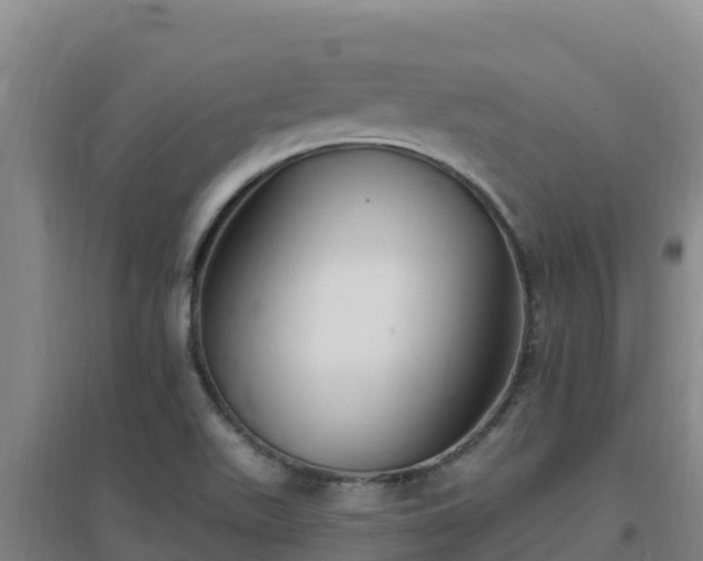 X0000096721511200802121236