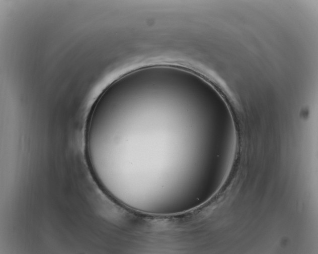 X0000096721512200802121236