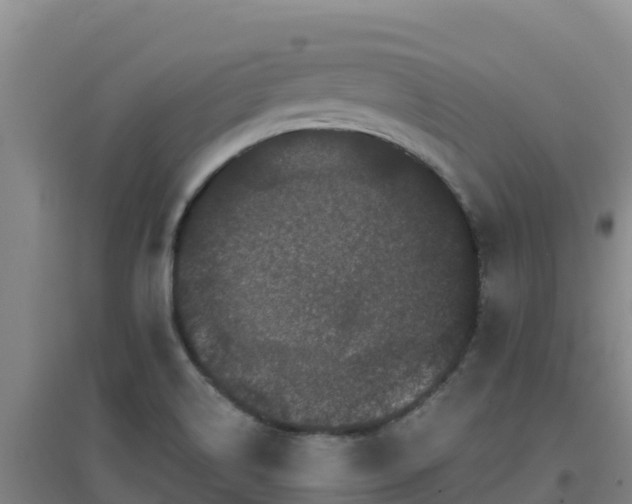 X0000096721514200802121236