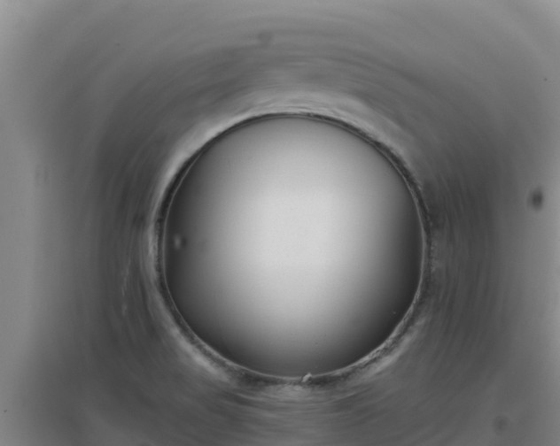 X0000096721517200802121236