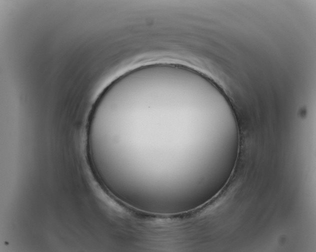 X0000096721518200802121236