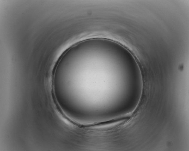 X0000096721519200802121236