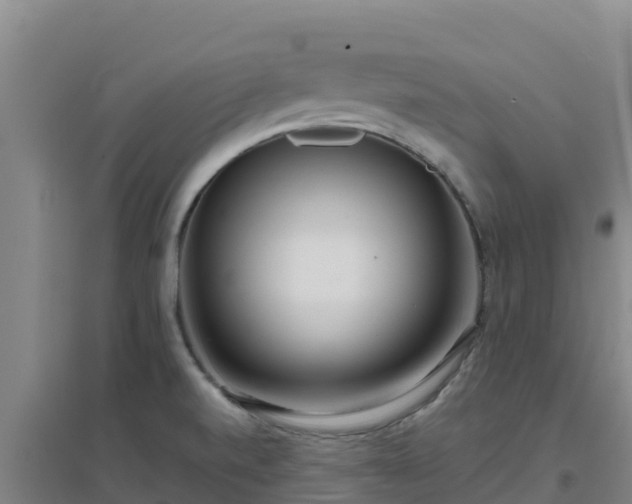 X0000096721520200802121236