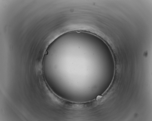 X0000096721521200802121236