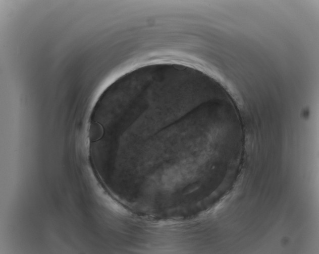 X0000096721522200802121236