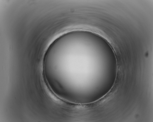 X0000096721523200802121236