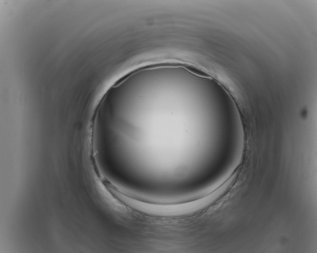 X0000096721524200802121236