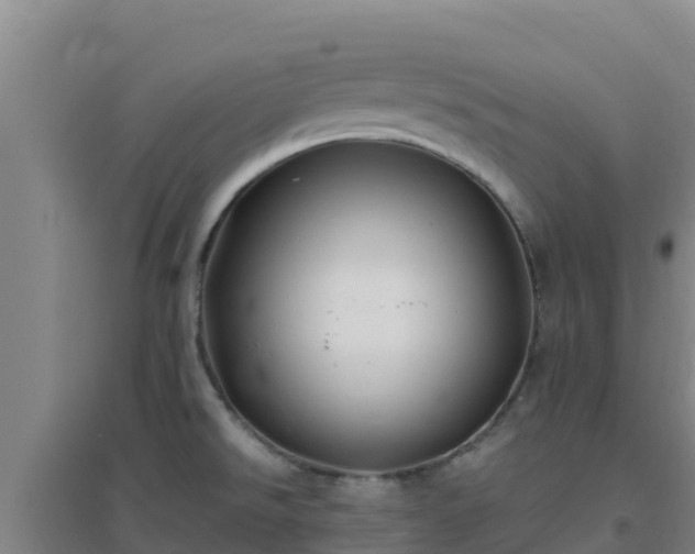 X0000096721526200802121236