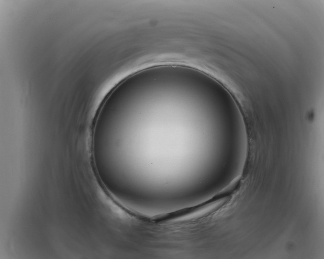 X0000096721527200802121236