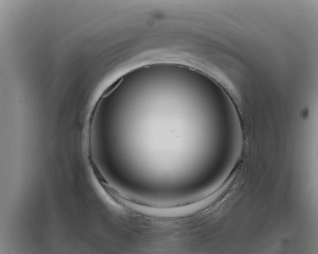 X0000096721528200802121236