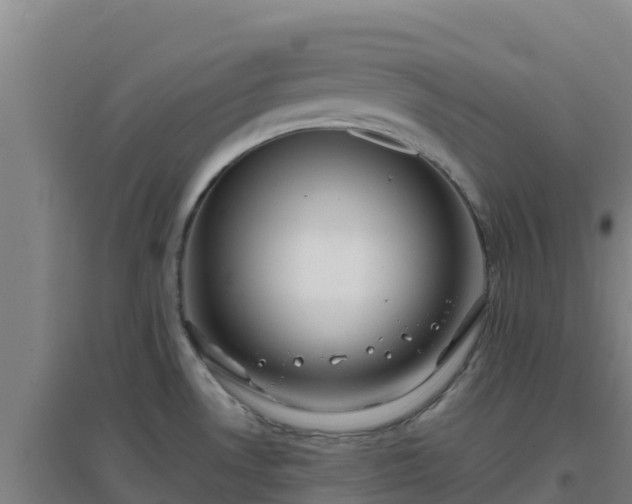 X0000096721530200802121236