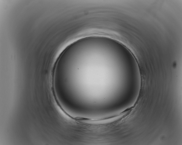 X0000096721531200802121236
