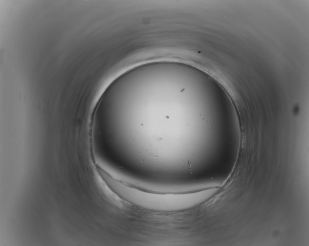 X0000096721532200802121236