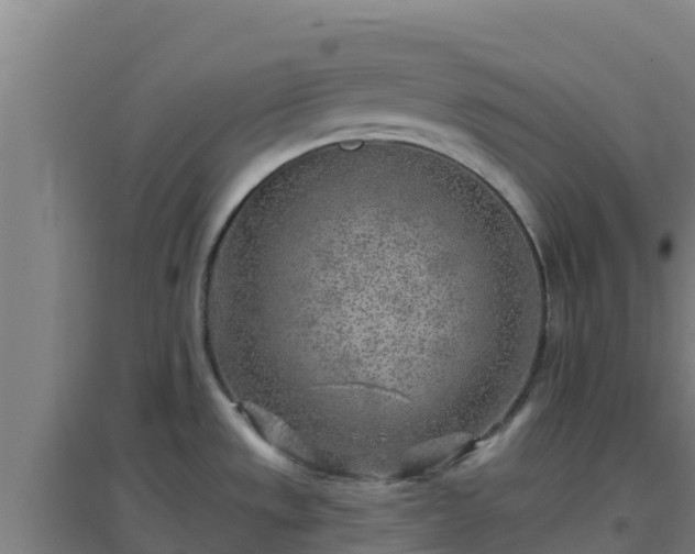 X0000096721533200802121236
