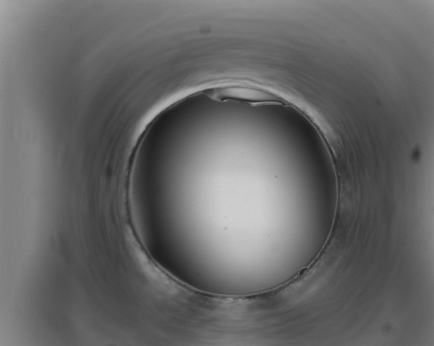 X0000096721534200802121236