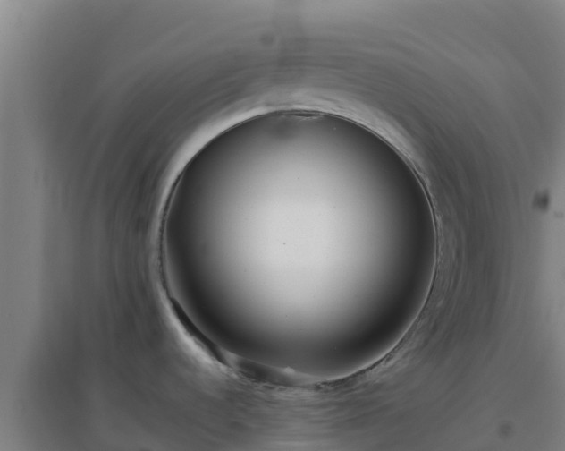 X0000096721536200802121236
