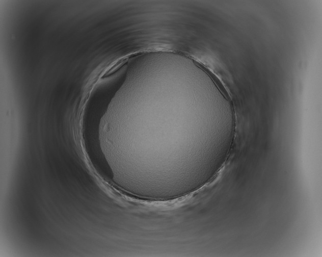 X0000096720001200802191537