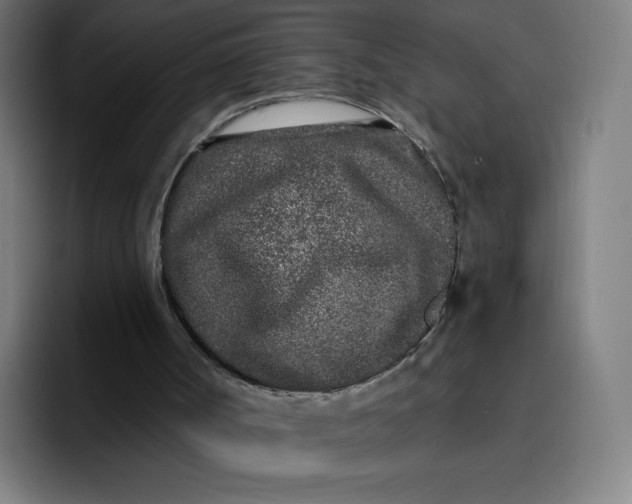 X0000096720002200802191537