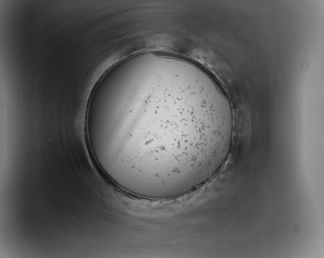 X0000096720003200802191537