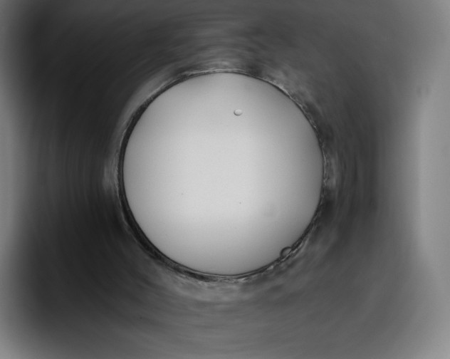 X0000096720004200802191537