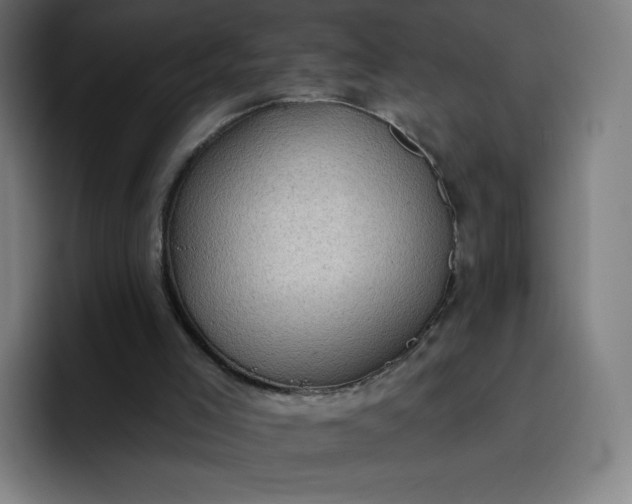 X0000096720005200802191537