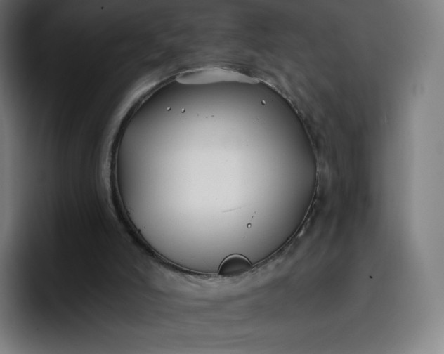 X0000096720006200802191537