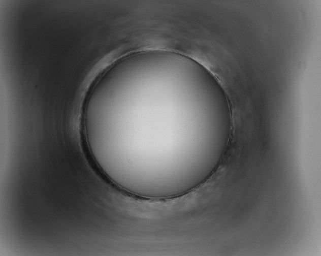 X0000096720007200802191537