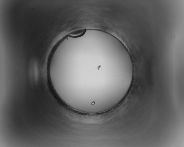 X0000096720008200802191537