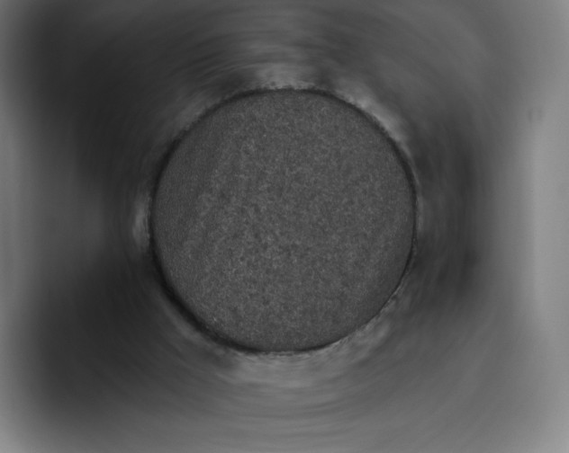 X0000096720009200802191537