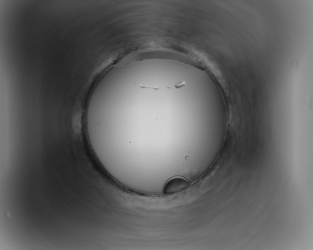 X0000096720010200802191537