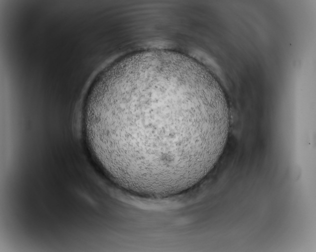 X0000096720012200802191537