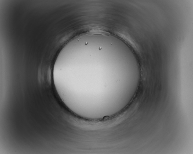 X0000096720014200802191537