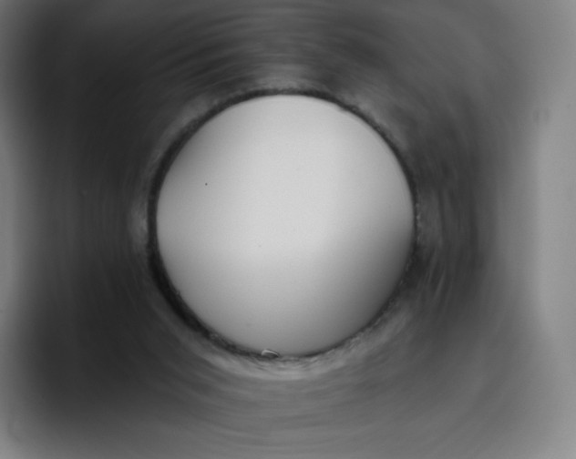 X0000096720015200802191537