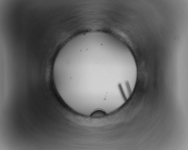 X0000096720018200802191537