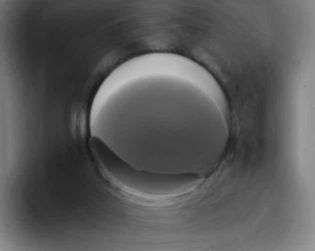 X0000096720019200802191537