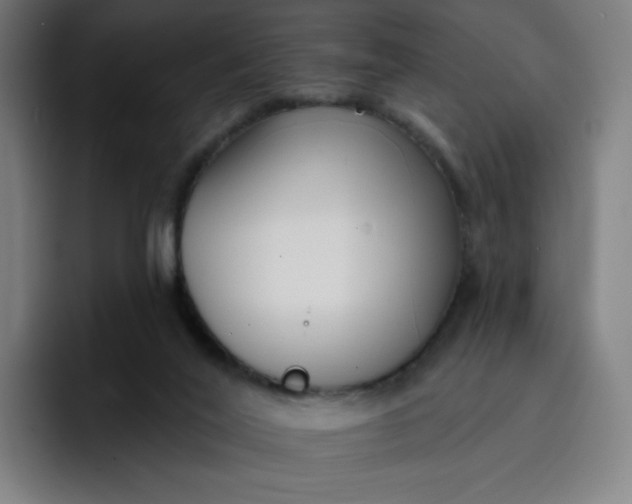 X0000096720020200802191537